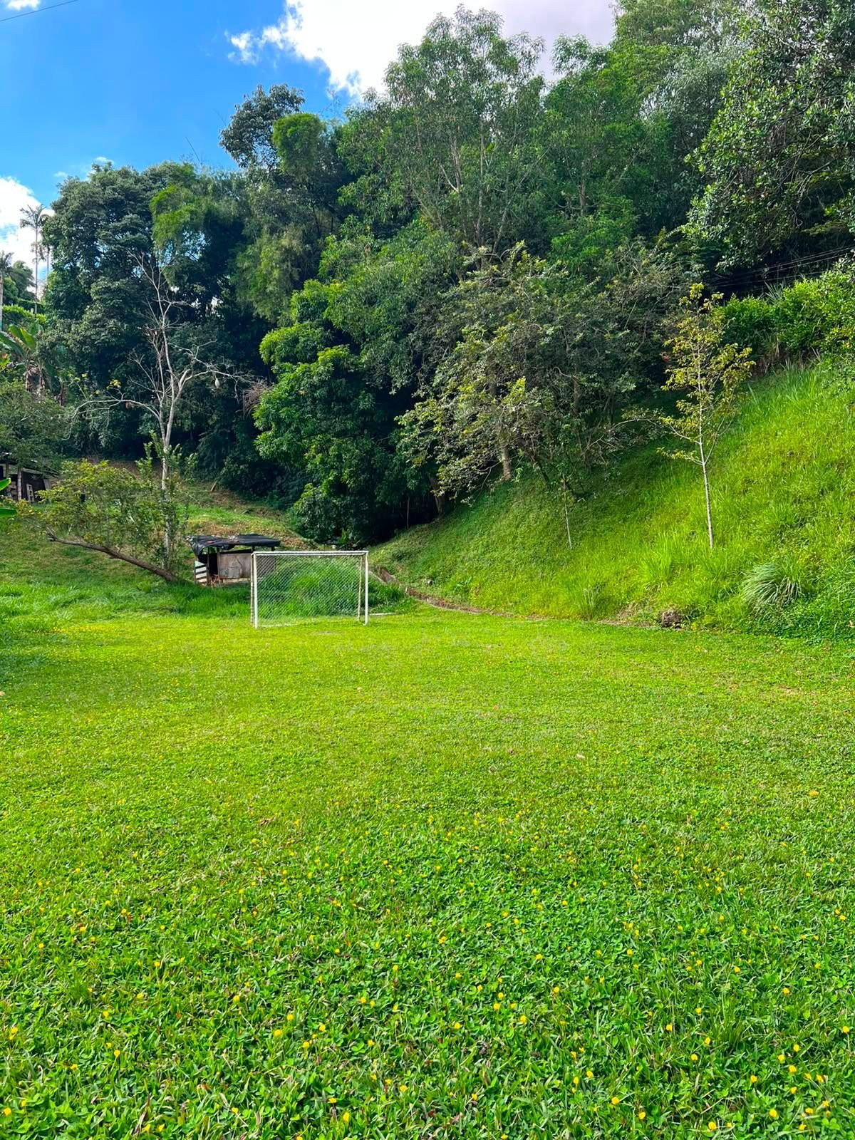 Finca 3205 en Barbosa, foto 6