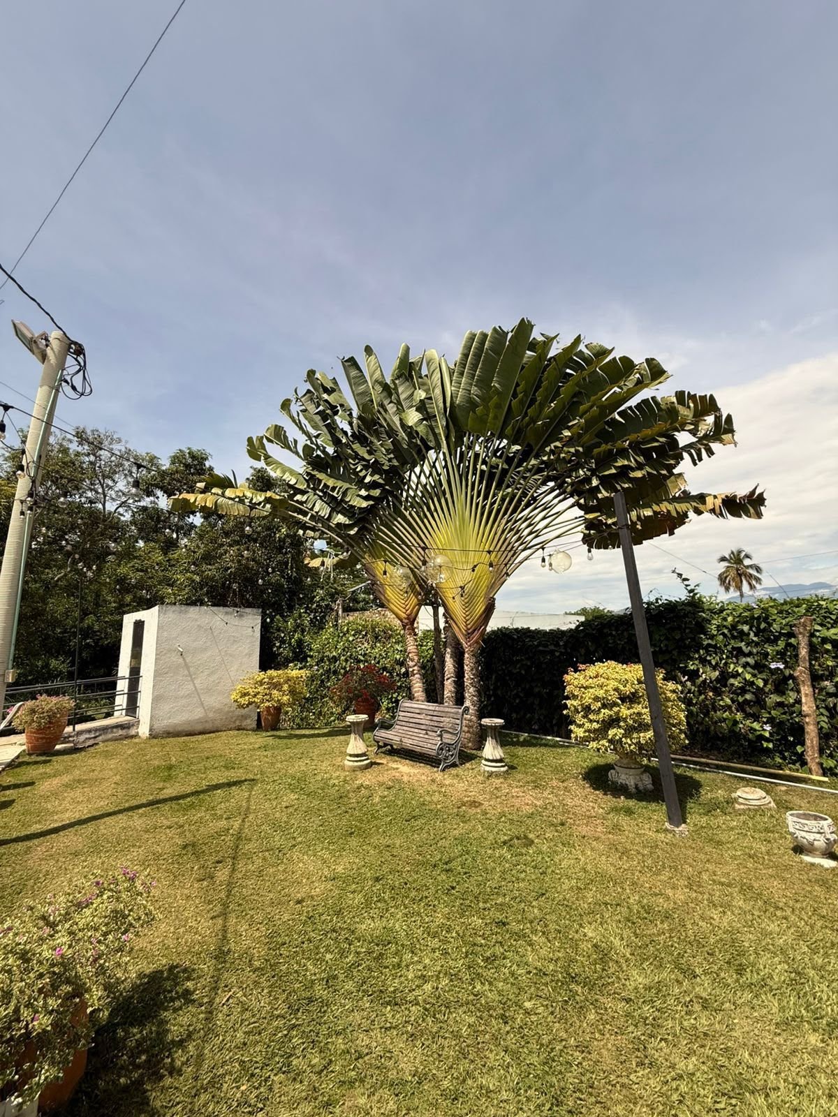 Finca 4114 en Sopetrán, foto 8