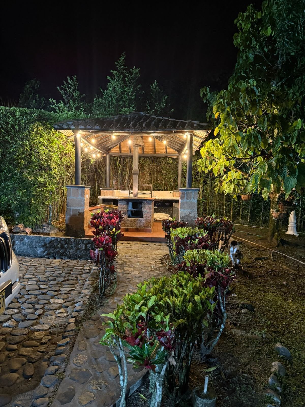 Finca 5017 en San Jerónimo, foto 8