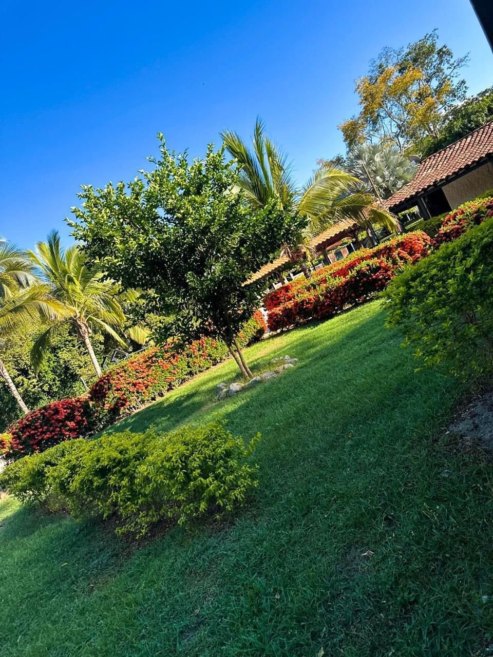 Finca 6115 en Santa Fe de Antioquia, foto 6