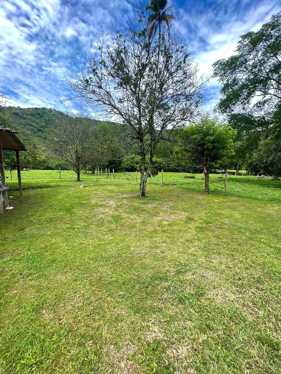 Finca 6116 en Santa Fe de Antioquia, foto 6
